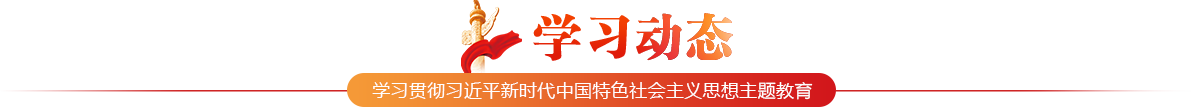学习动态