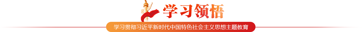 学习领悟
