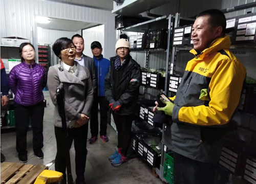 广州侨联主席梁瑞冰和员工亲切交谈，了解他们在荷兰的生活情况