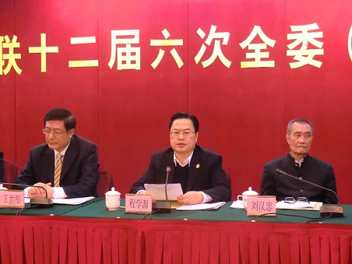 程学源副主席发言