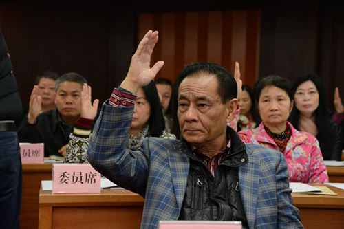 与会委员举手表决。