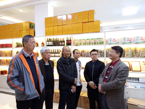 侨青会长杨春光（右）向马来西亚会宁总会会长胡桂华（左）介绍侨青服务平台情况