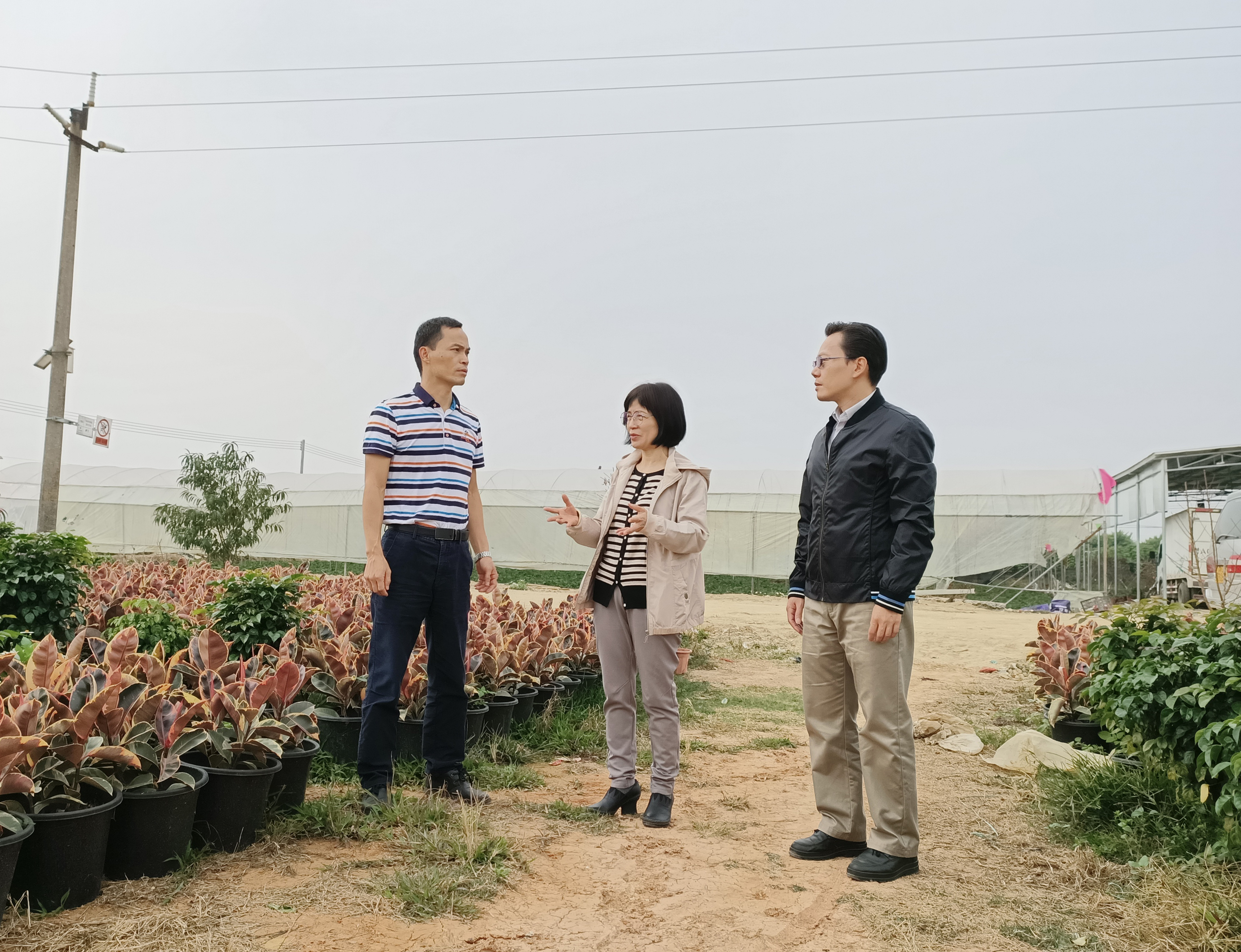 了解花卉种植经营情况.jpg