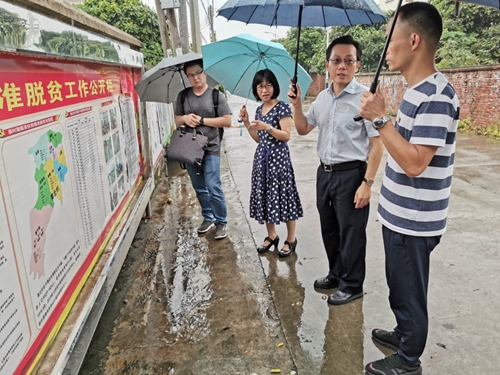 吴少姬副主席现场指导精准扶贫宣传工作