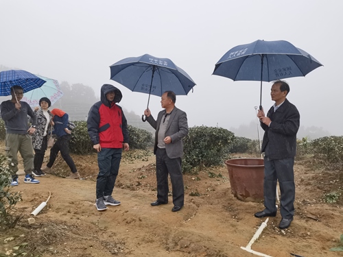 微信图片_20211221173908_副本.jpg