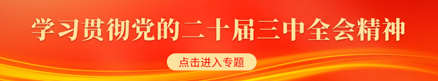 学习贯彻党的二十届三中全会精神