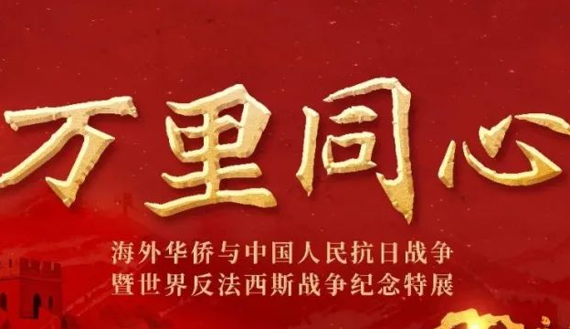 省市六级侨联联动！“万里同心——海外华侨与中国人民抗日战争暨世界反法西斯战争纪念特展”在全省21个地级市开幕